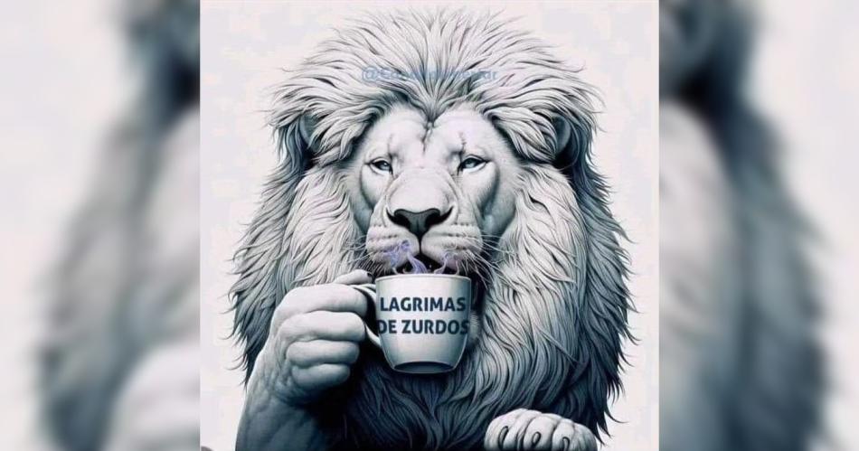 iquestMilei la ve o no la ve