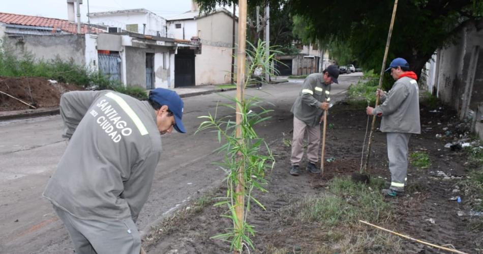 Arbolado Urbano de la Municipalidad realizoacute plantaciones en las veredas de un predio donde se arrojaban residuos