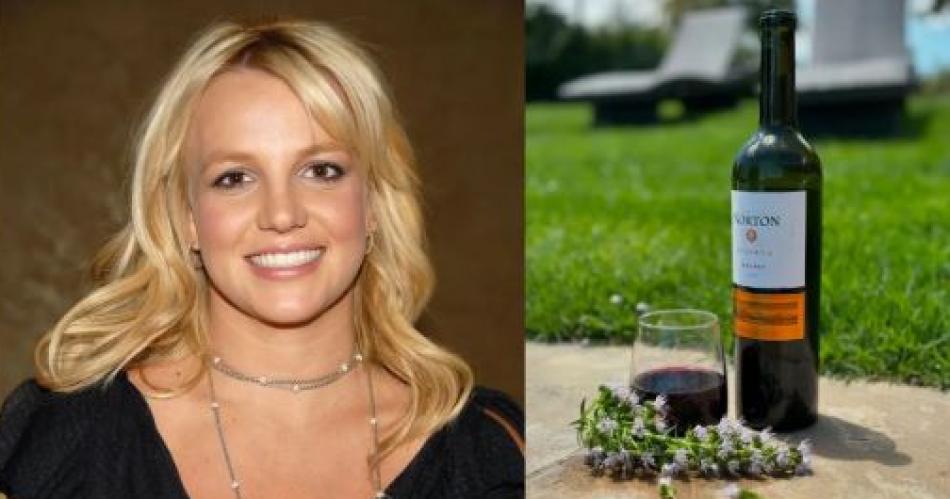Un vino argentino invitoacute a filosofar a Britney Spears