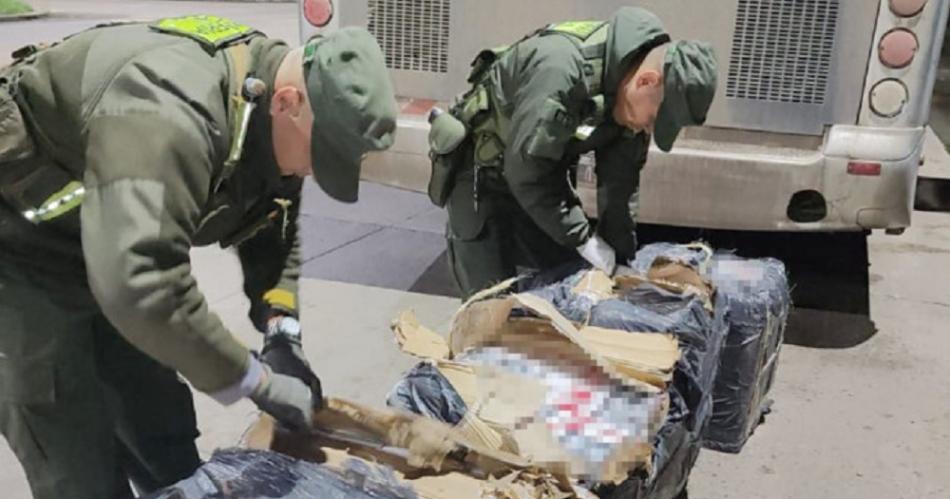 Megaoperativo de Gendarmeriacutea incautoacute cantidades inmensas de cigarrillos ilegales