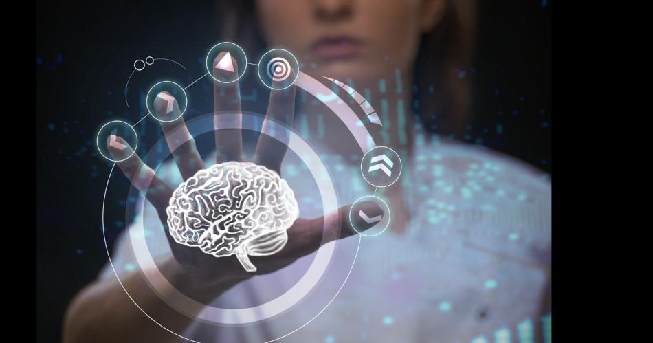 Inscriben para un curso taller sobre neurociencia