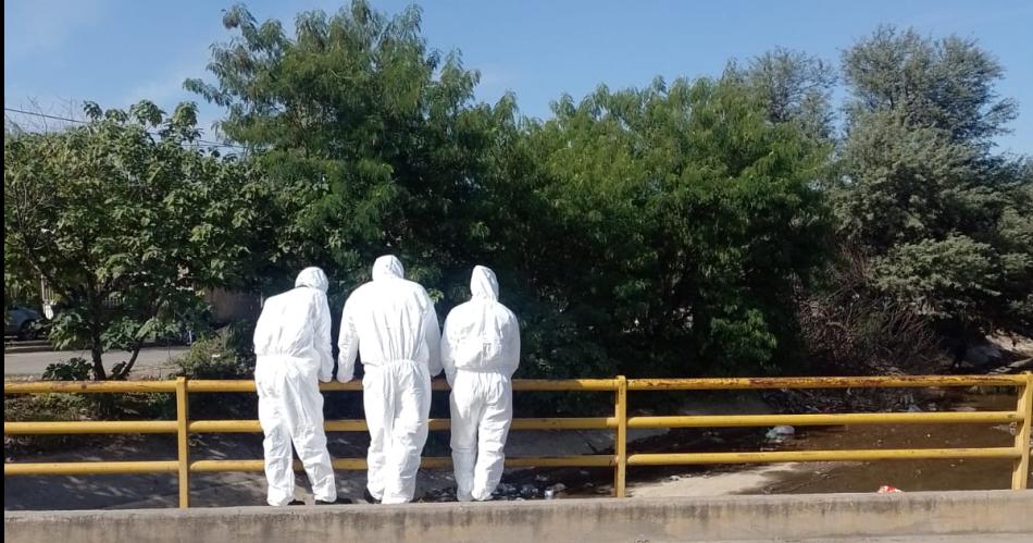 Asesinan a bebeacute recieacuten nacido desgarraacutendole el cordoacuten umbilical buscan entre parturientas