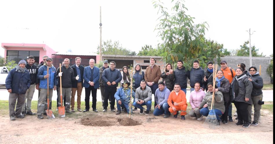 En Las Termas se reforestoacute el primer tramo de la avenida Neacutestor Kirchner