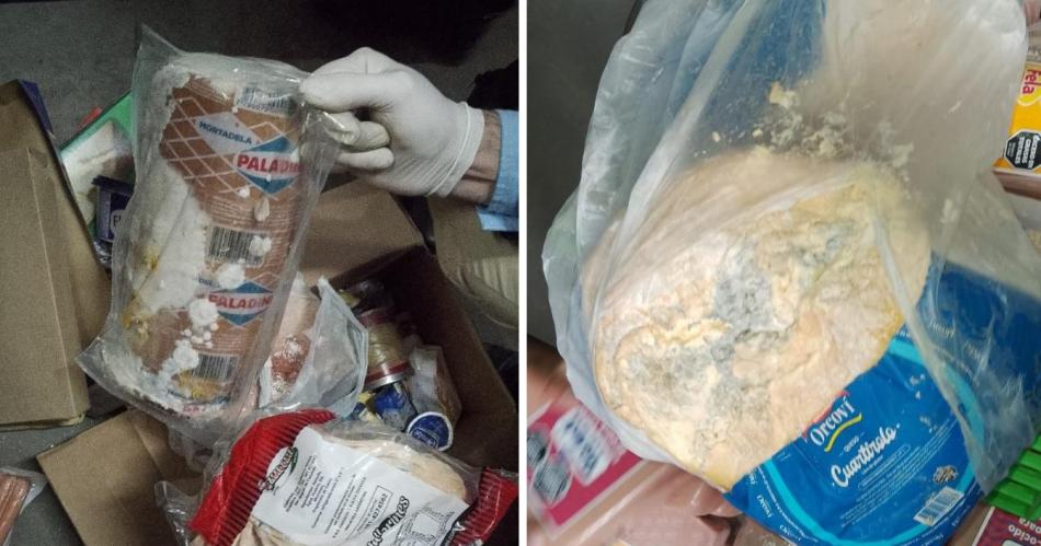 Video del horror- megadecomiso de quesos alimentos y fiambres por contener excremento de ratas