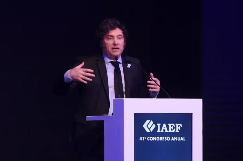 El Presidente Javier Milei durante su exposición en el 41° congreso anual de IAEF (Nicolas Stulberg)