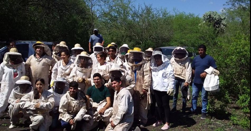 La miel orgaacutenica de Santos Lugares tesoro del monte santiaguentildeo
