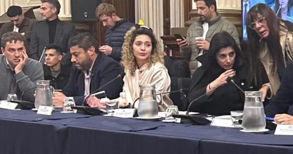 Una diputada libertaria asistioacute al Congreso con un patito amarillo en la cabeza