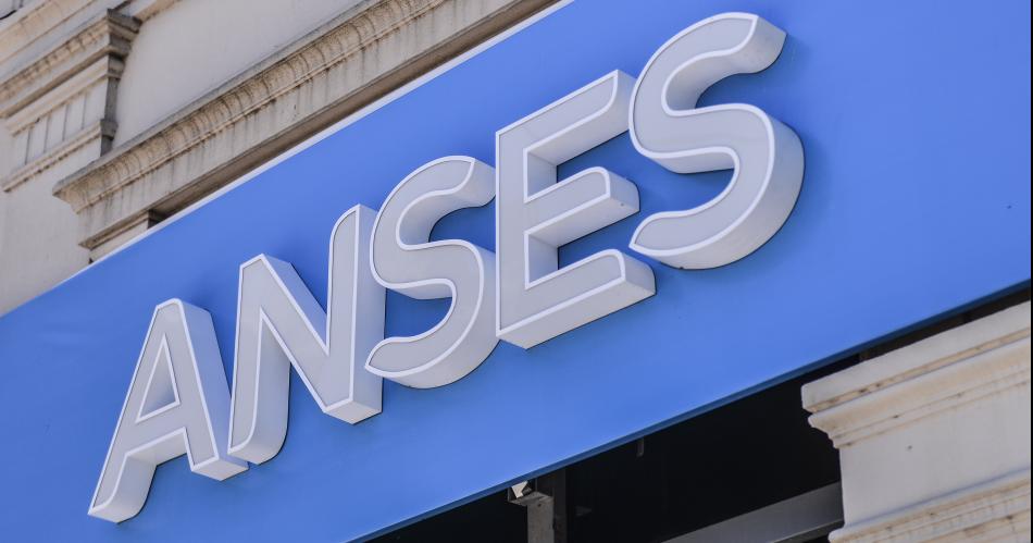 Anses aceptoacute la renuncia de privilegio que solicitoacute Milei