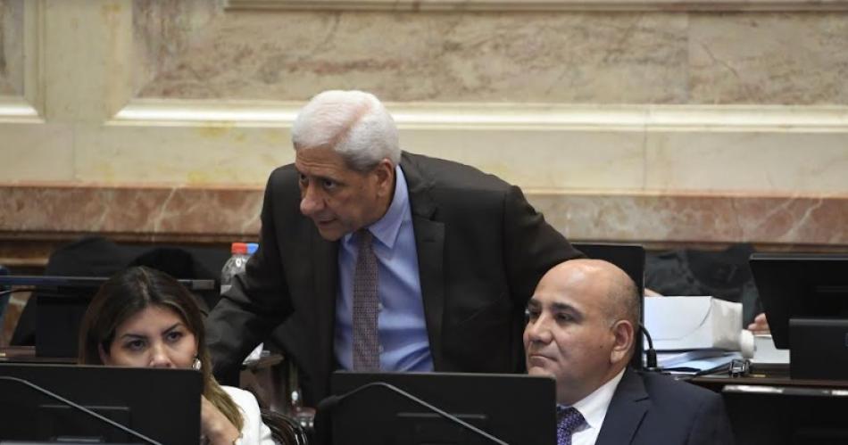 Neder- La Ley Bases es inconsistente y carece de sentido social