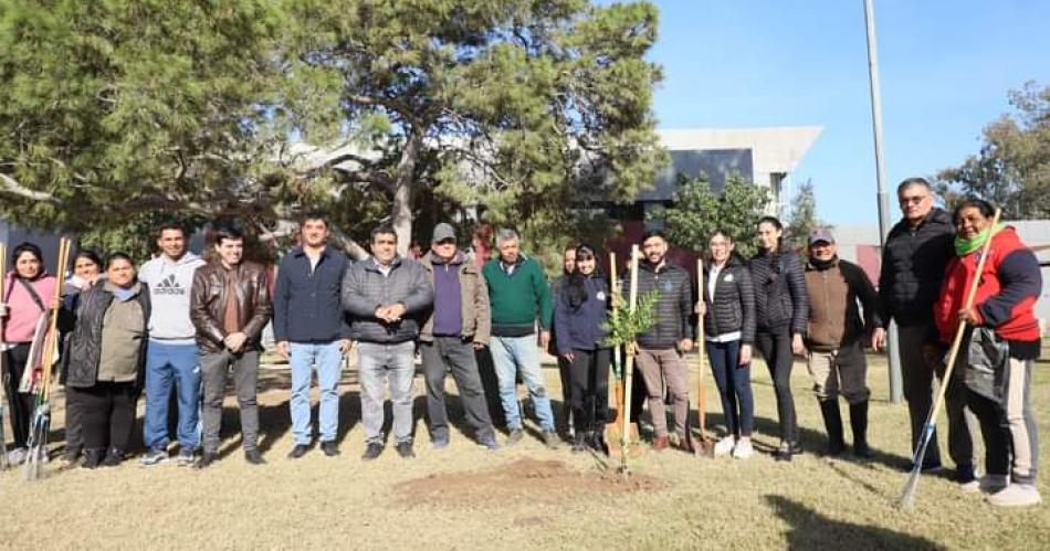 Personal municipal termense plantoacute aacuterboles en el parque Guumlemes