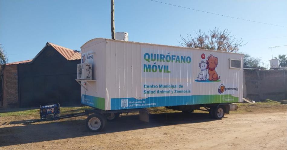 Hoy y mantildeana habraacute castracioacuten de mascotas en la zona norte termense