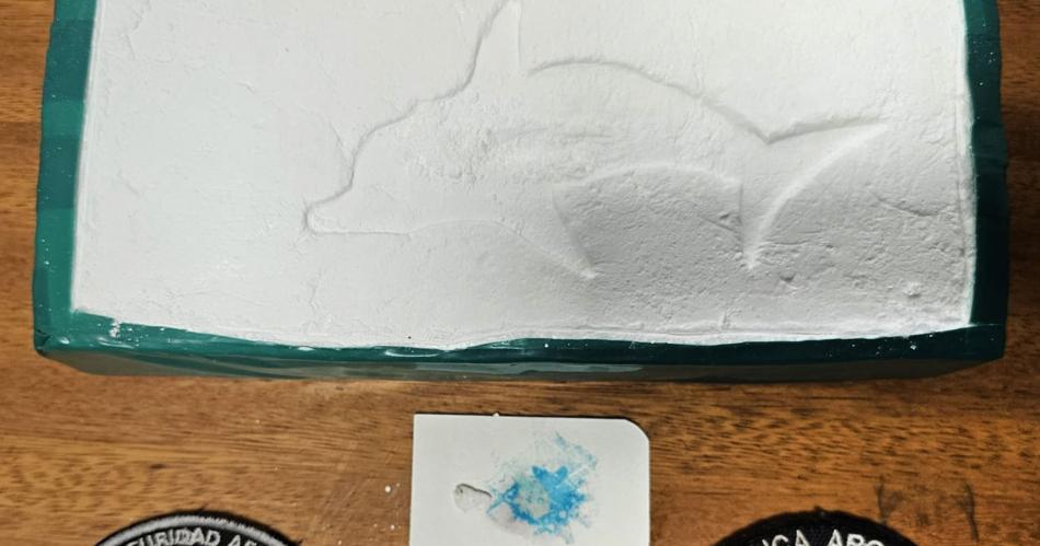 Desbaratan una banda narco que plasmaba un logo de delfiacuten en su mercanciacutea