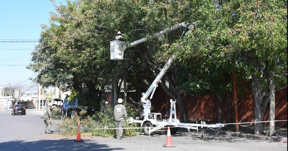 La Municipalidad realiza un operativo de poda integral de aacuterboles en una amplia zona de la ciudad