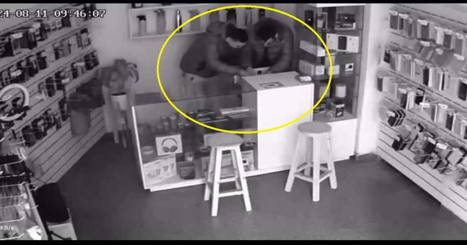 VIDEO Ladrones se llevan 23 millones en celulares de alta gama y revientan una caja fuerte