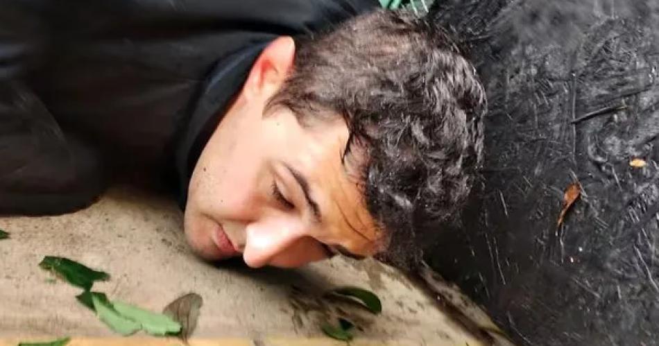 Robaban camionetas de alta gama para sacarlas del paiacutes- ahora estaacuten todos presos