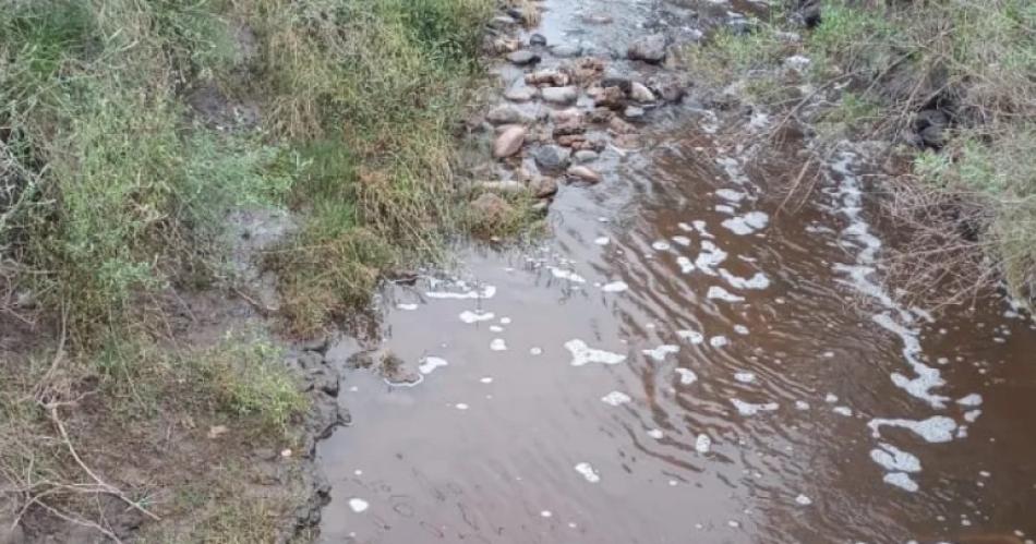 Apoderado de Los Balcanes dijo que haraacute una presentacioacuten espontaacutenea ante la Justicia local