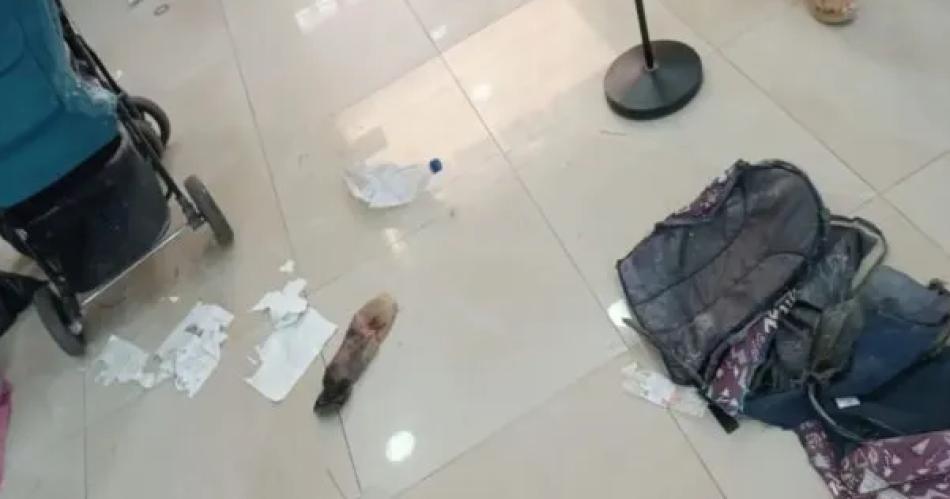 Impensado ataque en una iglesia- menores causaron una explosioacuten quiacutemica e hirieron a un pastor