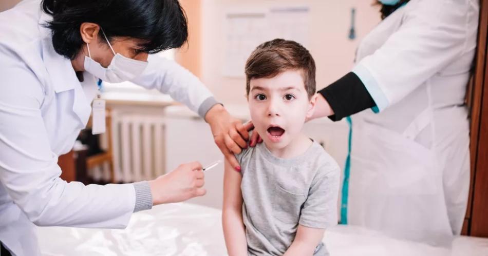 Mitos y verdades- piden inmunizar a los nintildeos para llegar protegidos al proacuteximo ciclo lectivo