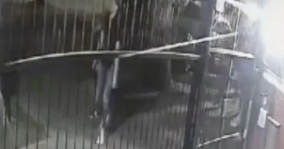 VIDEO Asiacute fue el momento en el que se fugaron 17 presos de la comisariacutea de Liniers