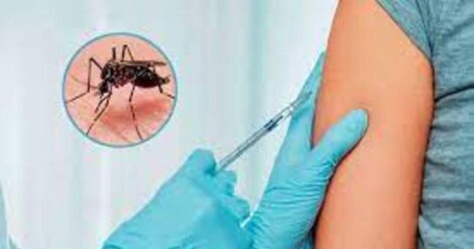 Hoy retoman la vacunacioacuten contra el dengue en Santiago