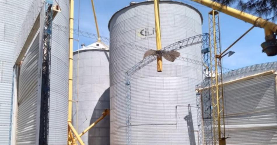 Horror- un nene de 9 antildeos entroacute a jugar a un silo y murioacute atrapado