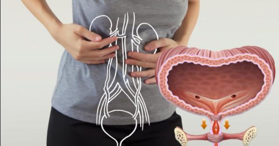 Especialistas advierten sobre los riesgos de retener la orina
