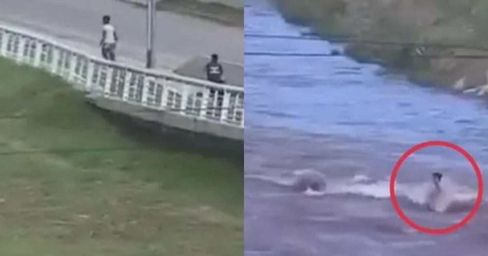 VIDEO INSOacuteLITO Delincuente se tiroacute a un riacuteo para escapar de la policiacutea