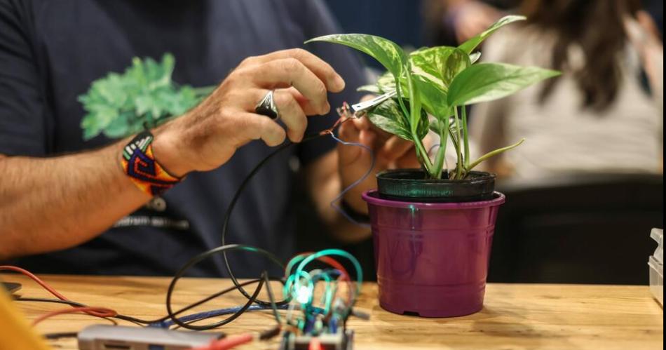 Invitan a sumarse al programa de arte ciencia y tecnologiacutea