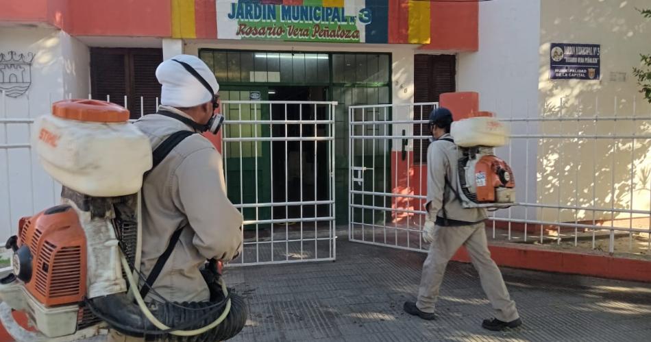 Fumigaciones contra insectos voladores y rastreros