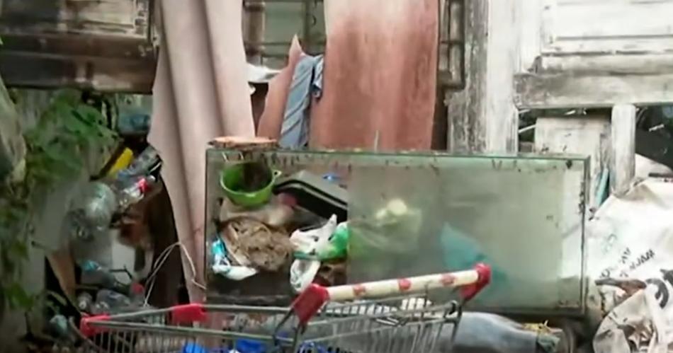 Encontraron maacutes de 200 animales mutilados y embalsamados en una vivienda