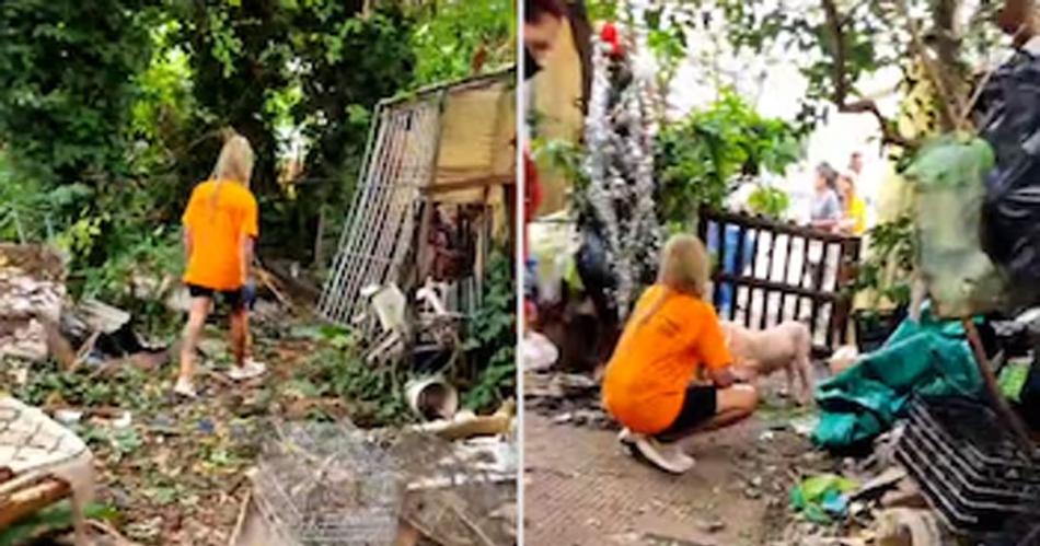 Encontraron maacutes de 200 animales mutilados y embalsamados en una vivienda