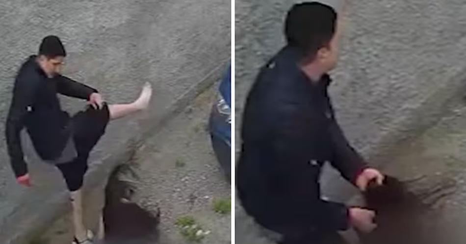 Un hombre intentoacute matar a golpes a su exnovia y escapoacute