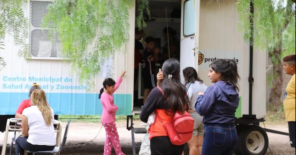 Comienza hoy una nueva semana de castracioacuten gratuita en Las Termas
