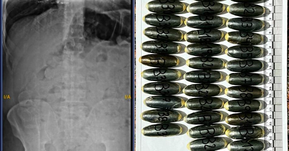 Gendarmeriacutea detuvo a dos mulas que habiacutean ingerido maacutes de 180 caacutepsulas de cocaiacutena