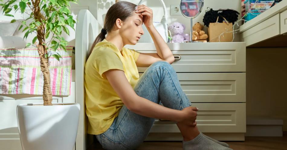 ESTADO DE ÁNIMO Esta situación lleva a la preocupación a muchos adultos