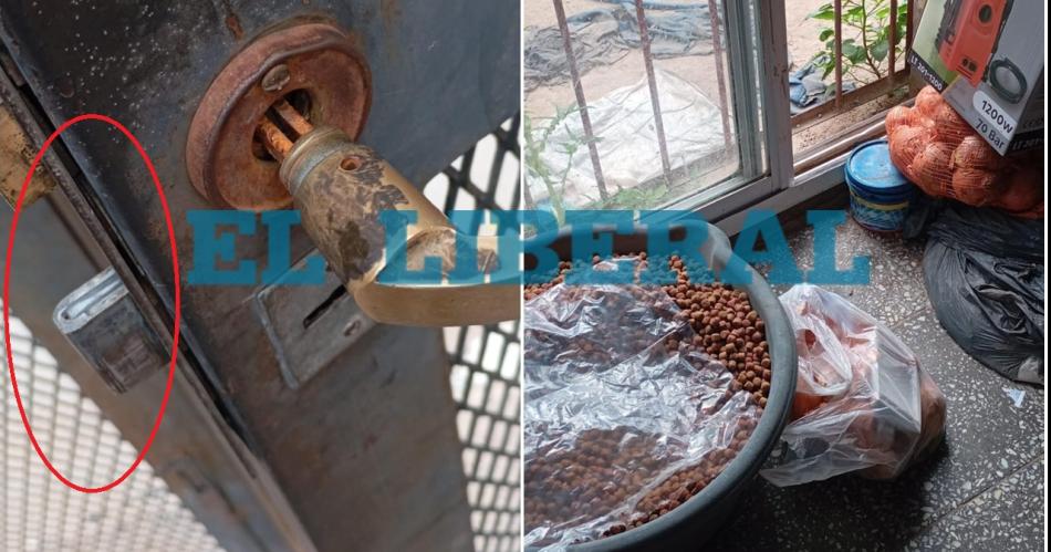 Los malvivientes forzaron la puerta de ingreso Arrojaron el alimento para perro y usaron la bolsa para guardar los elementos robados