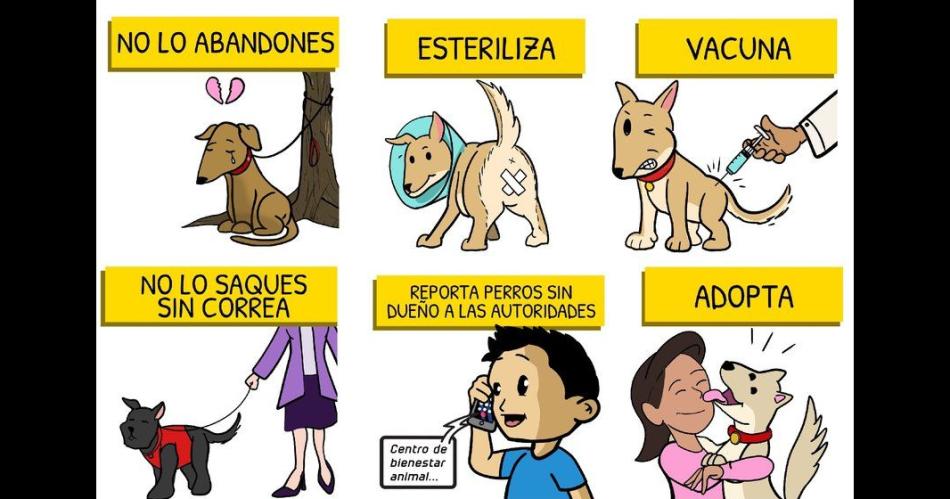 PROPUESTA Se busca crear conciencia sobre la tenencia responsable