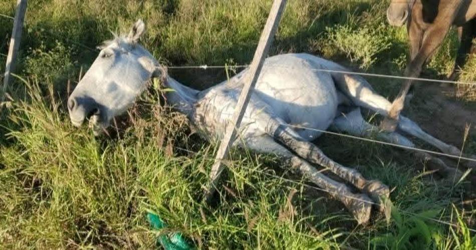 La Justicia ordenoacute allanamientos para detener a un exdiputado provincial