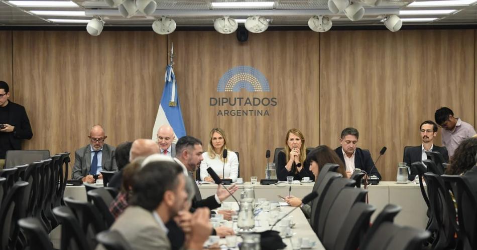 Avanza el proyecto para bajar la edad de imputabilidad- hay dictamen favorable