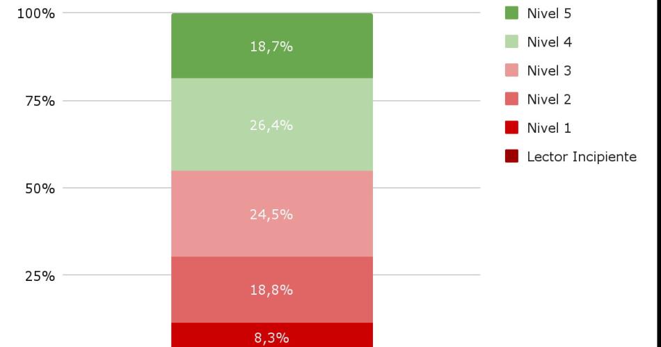 En las escuelas argentinas 1 de cada 10 chicos no sabe leer
