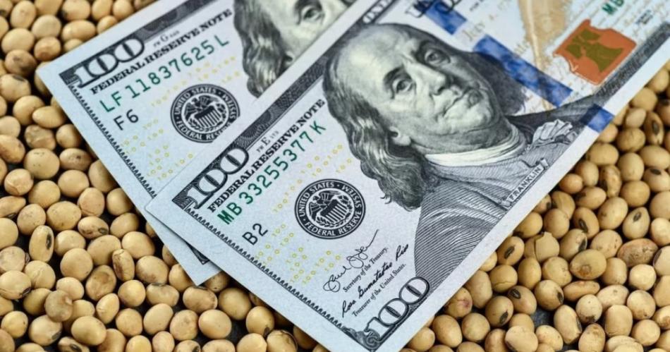 La agroindustria aportoacute el 92-en-porciento- de las divisas netas en cinco antildeos