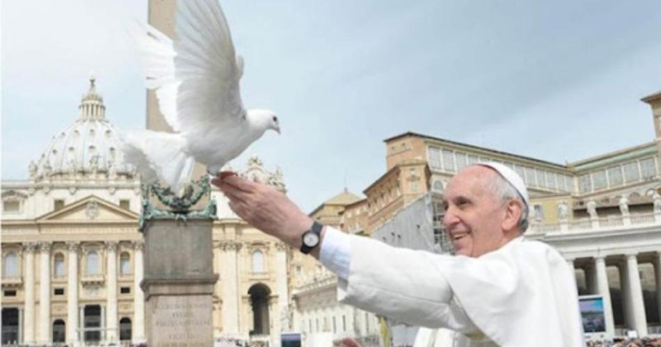 Francisco y el vuelo de las aves