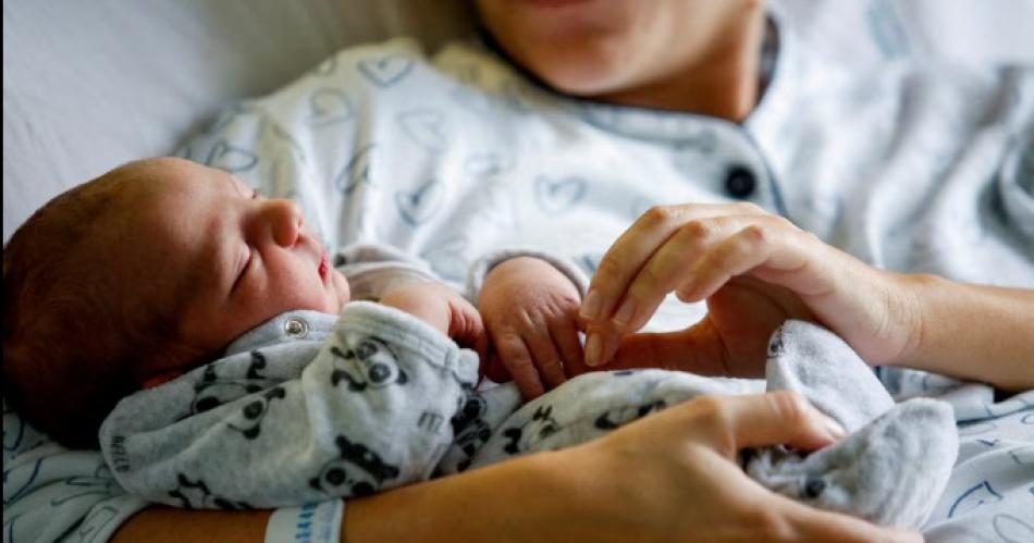 Natalidad en picada- Argentina con mayoría de hogares sin hijos tras caída del 40-en-porciento-