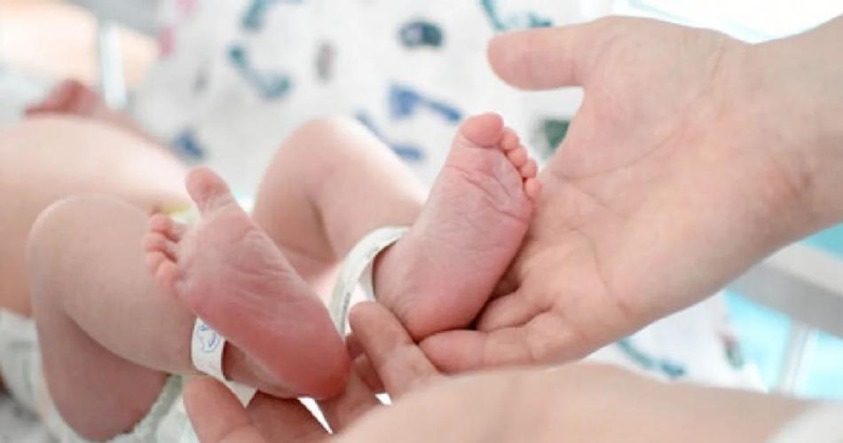 Argentina enfrenta una alerta demograacutefica en la tasa de natalidad que amenaza su desarrollo