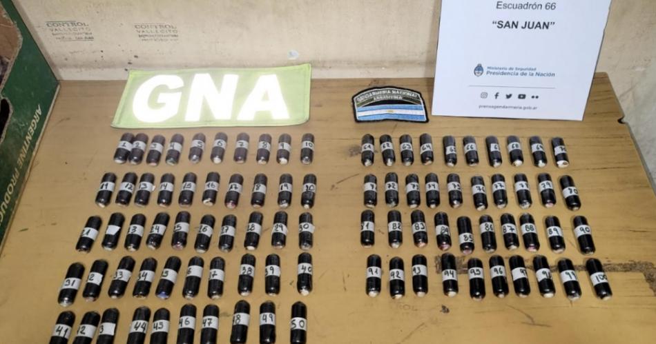 Cayoacute una mula de Bolivia que transportaba un centenar de caacutepsulas de cocaiacutena