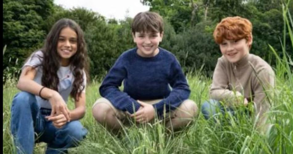 Quieacutenes interpretaraacuten a Harry Ron y Hermione en la serie del mago Potter