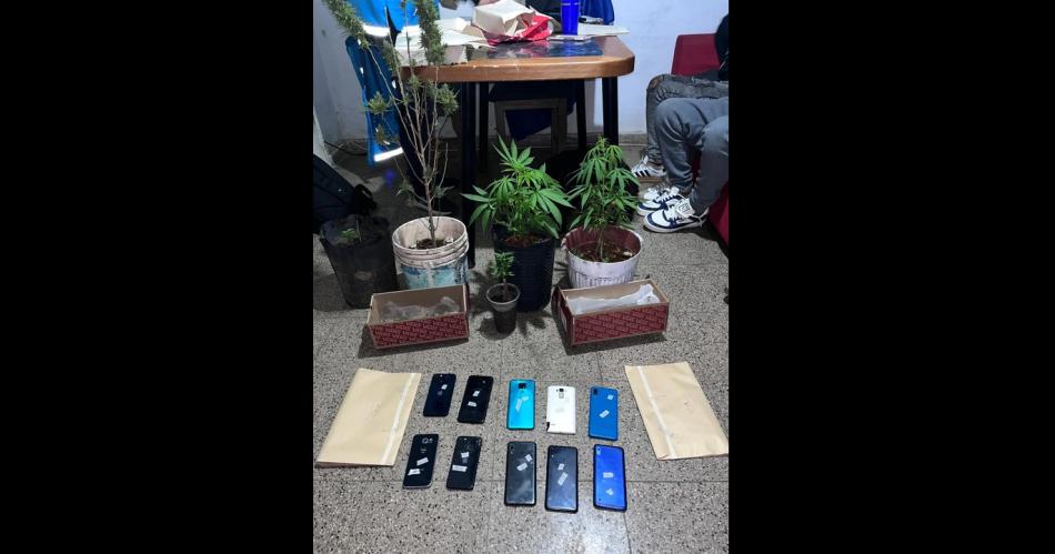 Tocoacute perder- banda de pungas se dedicaba a viajar a fiestas electroacutenicas para robar celulares