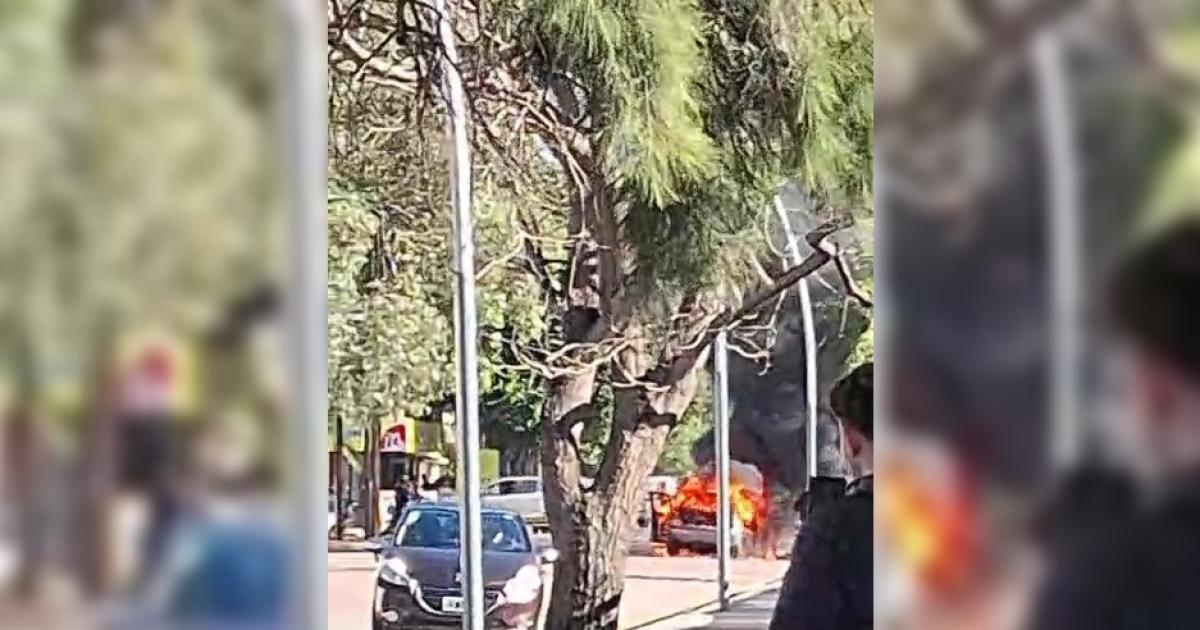 VIDEO  Paacutenico y fuego- un automoacutevil se incendioacute en plena Av Rivadavia