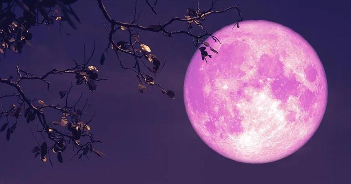 Llega la Luna de fresa- queacute significa este fenoacutemeno y coacutemo verlo desde Argentina