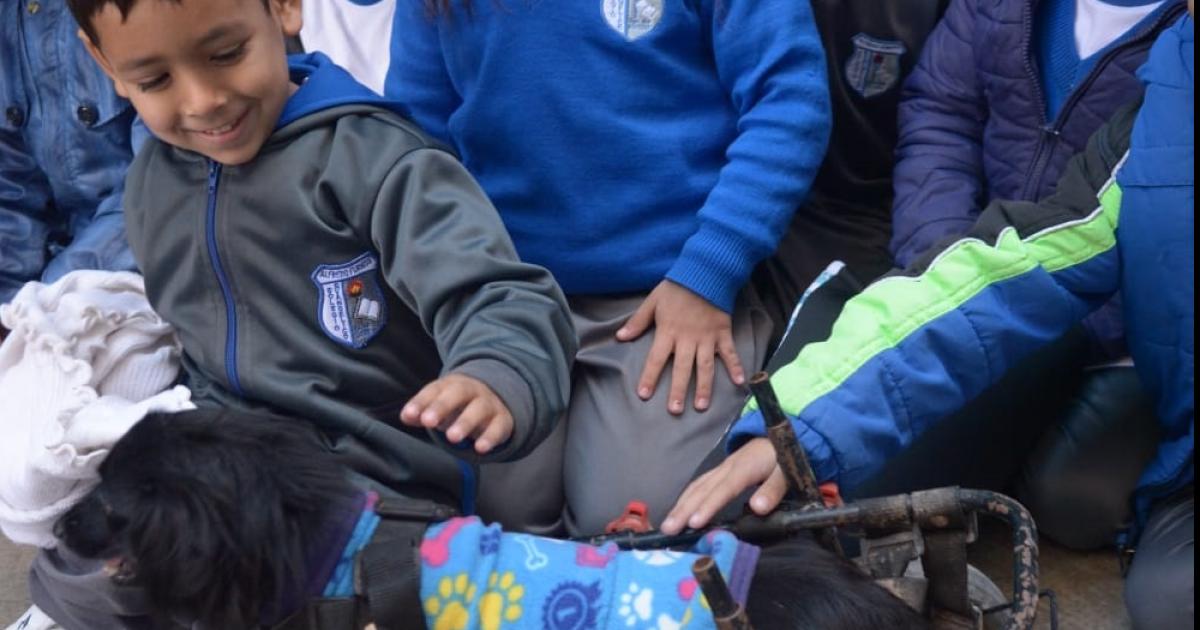 PROYECTO Pertenece al Colegio Furniss